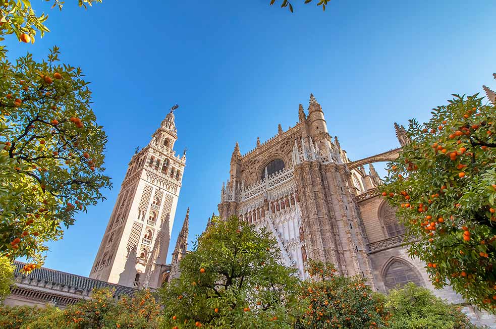 View of the ornate facade and towering Giralda of Sevilla Cathedral under a clear blue sky, framed by vibrant orange trees in Seville, Spain.