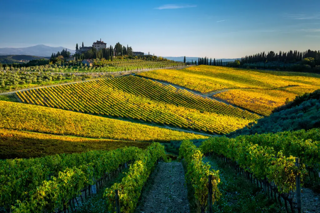 Scenic vineyard landscape in San Donato in Perano, Italy, with rolling hills, lush grapevines, and a historic estate under a clear blue sky, ideal for Tuscany wine tours and Italian countryside travel.