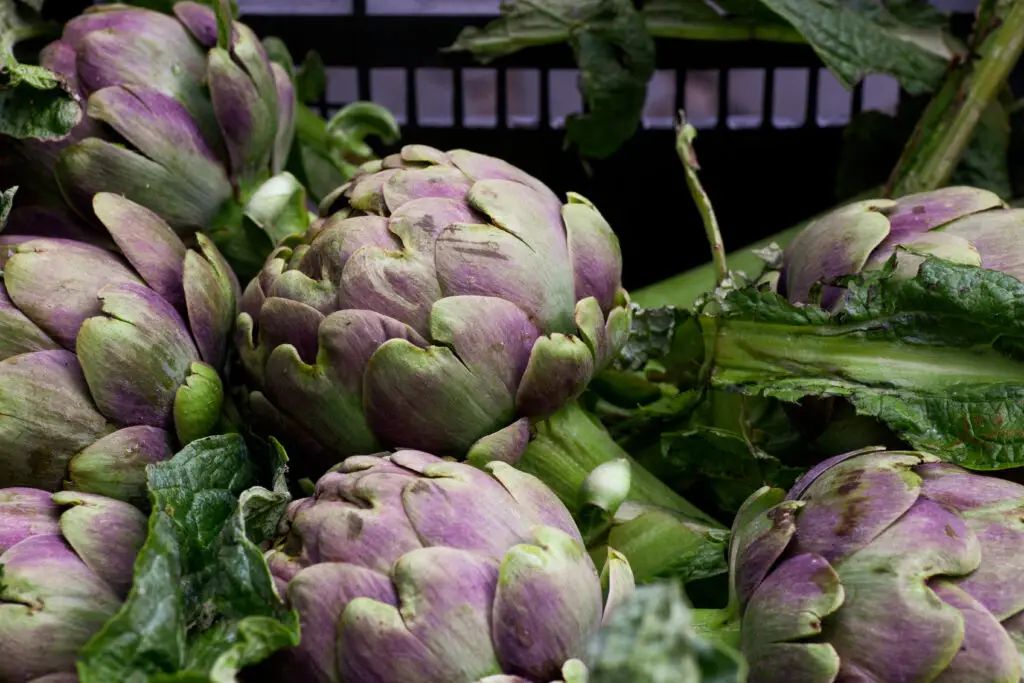 Fresh artichokes at Testaccio Market in Rome, Italy for an Italian food tour