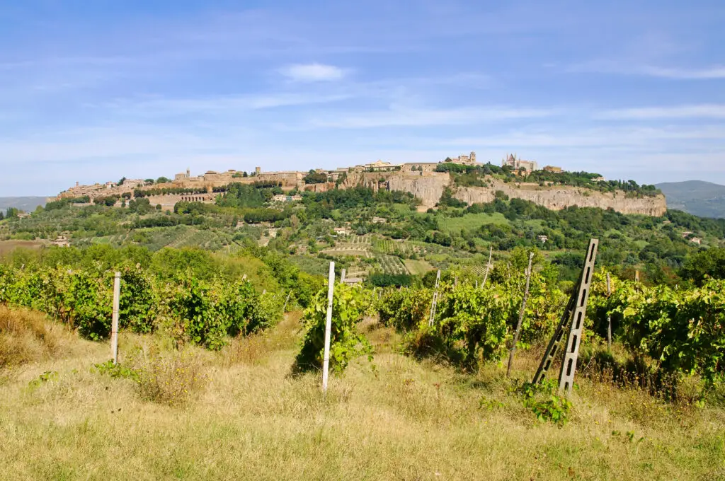 Orvieto hilltop town and vineyards in Umbria, Italy with the Duomo visible in the distance
