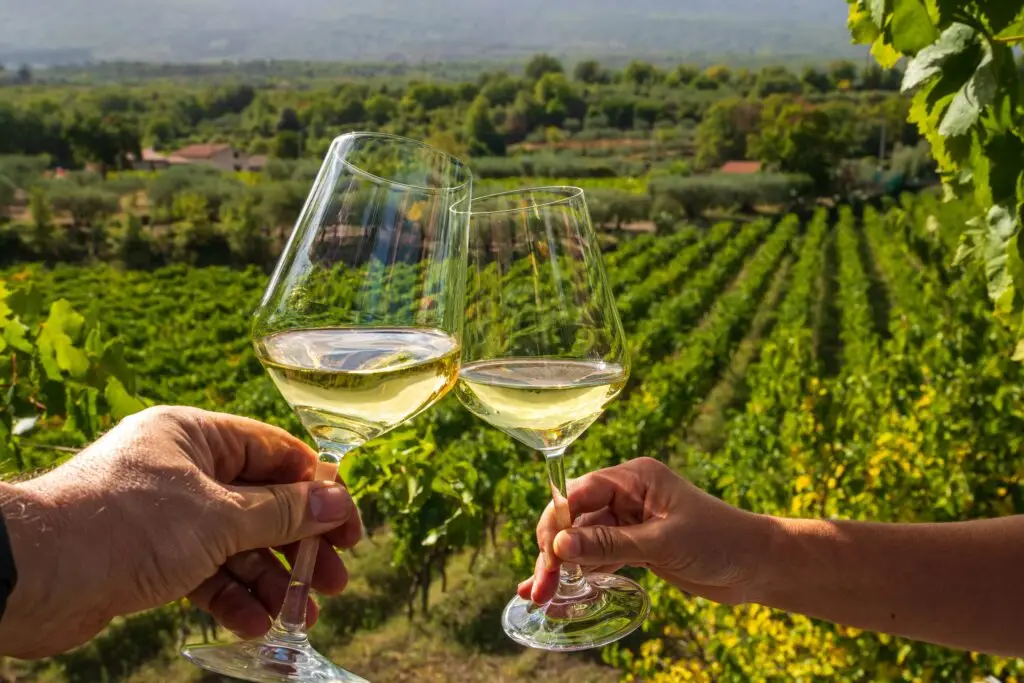 Two glasses of white wine toast in a Sicilian vineyard during an Italy wine tour