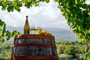 Italian white wine bottle, two glasses and grapes on a wooden barrel in a vineyard landscape for Italy wine tours