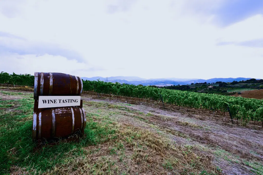 Wine tasting sign beside barrels overlooking Chianti vineyards in Tuscany, Italy