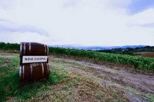 Wine tasting sign beside barrels overlooking Chianti vineyards in Tuscany, Italy